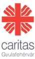  Caritas Alba Iulia